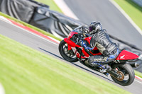 PJ-Motorsport-2019;donington-no-limits-trackday;donington-park-photographs;donington-trackday-photographs;no-limits-trackdays;peter-wileman-photography;trackday-digital-images;trackday-photos